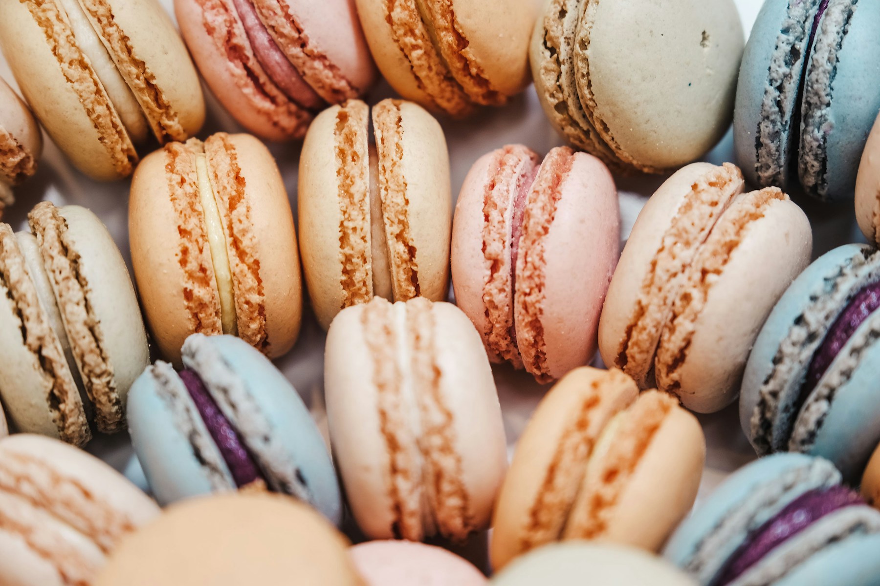 Macarons and petit fours